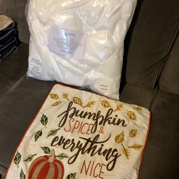 Pumpkins and Pillows, oh my! 🍁🍂 Fall decor - Picture 10 of 10